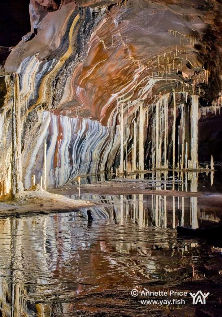 The 'Columns' cave formation in Ogof Ffynnon Ddu cave,