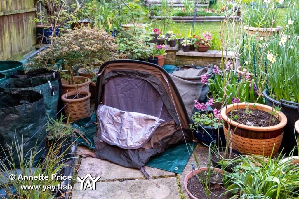 Sleeping on the patio. A one person 'bivy' amongst the flower pots.