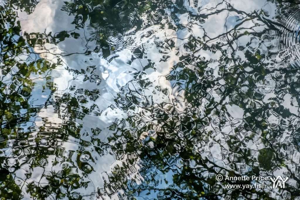 The River Whitewater, Greywell Moors, Hampshire, UK.