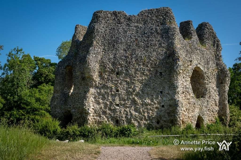 Odiham Castle, Greywell, Hampshire, UK.