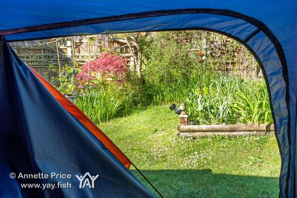 Unzipping the tent - the morning view. Garden Camping.