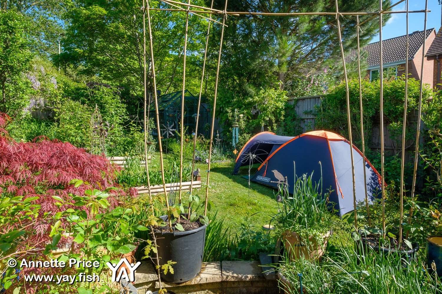Read more about the article Garden Camping. A delightful way to spend time at home