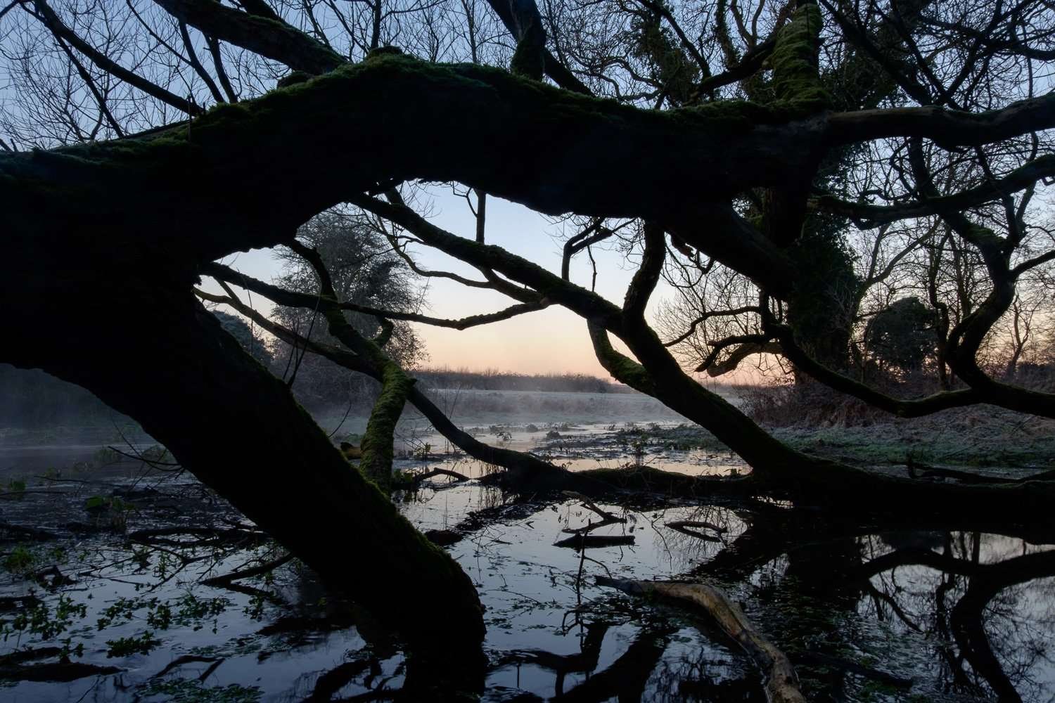 Read more about the article We’ve Moved! Welcome to LetsVenture.co.uk