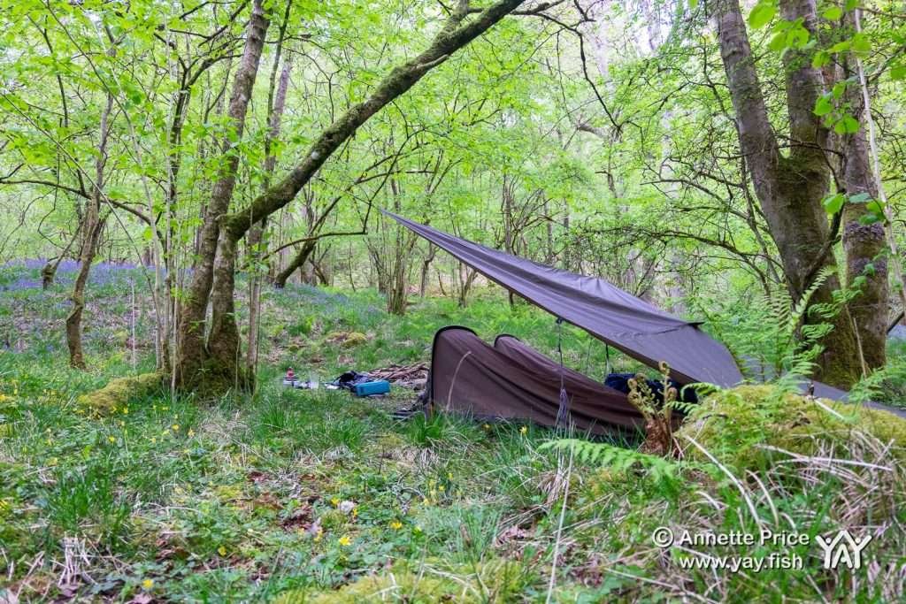 Elidir Trail Ystradfellte Wales May 2019 24