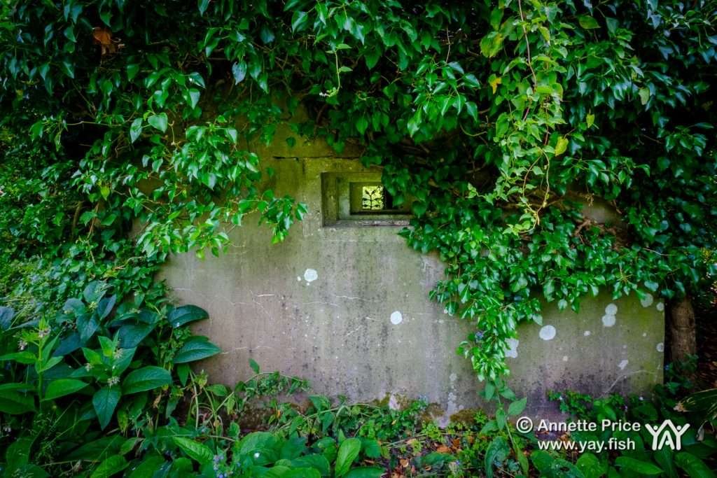 Wartime Pillbox. Dipley Mill, Hartley Wintney, Hook, Hampshire. UK.
