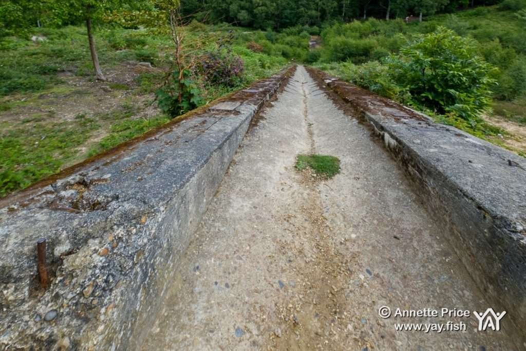 Hazeley Hampshire UK 21 6 20 185