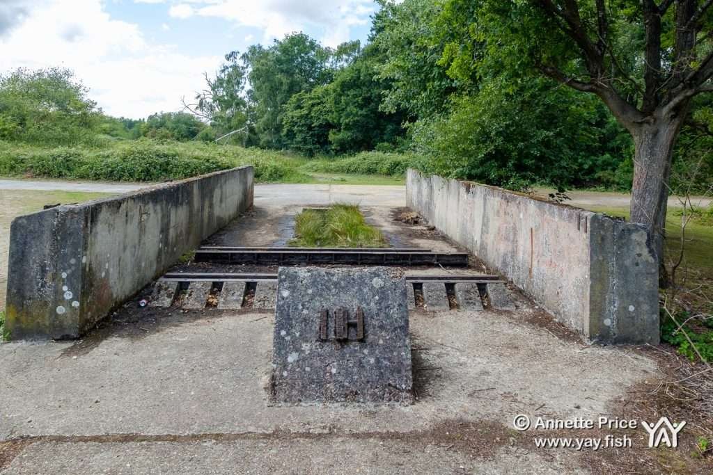 Hazeley Hampshire UK 21 6 20 193