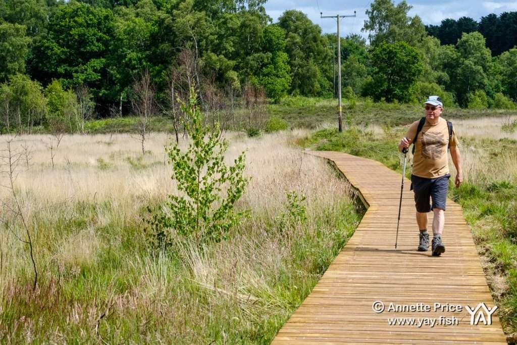 Hazeley Hampshire UK 21 6 20 201