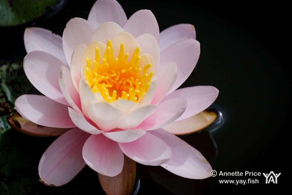 Hazeley Hampshire UK 21 6 20 256