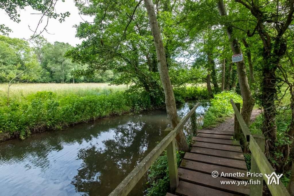 Hazeley Hampshire UK 21 6 20 97