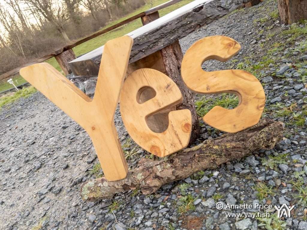 Wild Camping at the Yes Bus 17 3 19 13