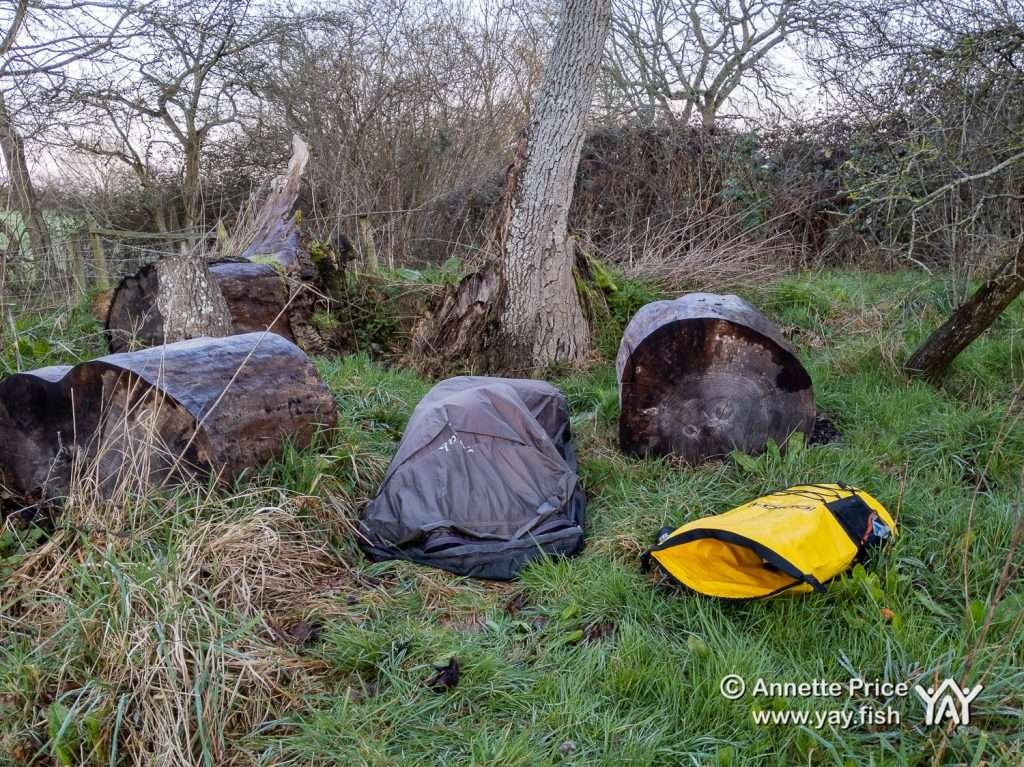 There were sounds of snoring coming from this bivvi bag (middle 'log'). Wild camping course at the Yes Bus. Part of Say Yes More. West Sussex, UK.