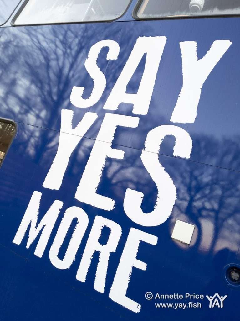 The YES Bus. Wild camping course at the Yes Bus. Part of Say Yes More. West Sussex, UK.