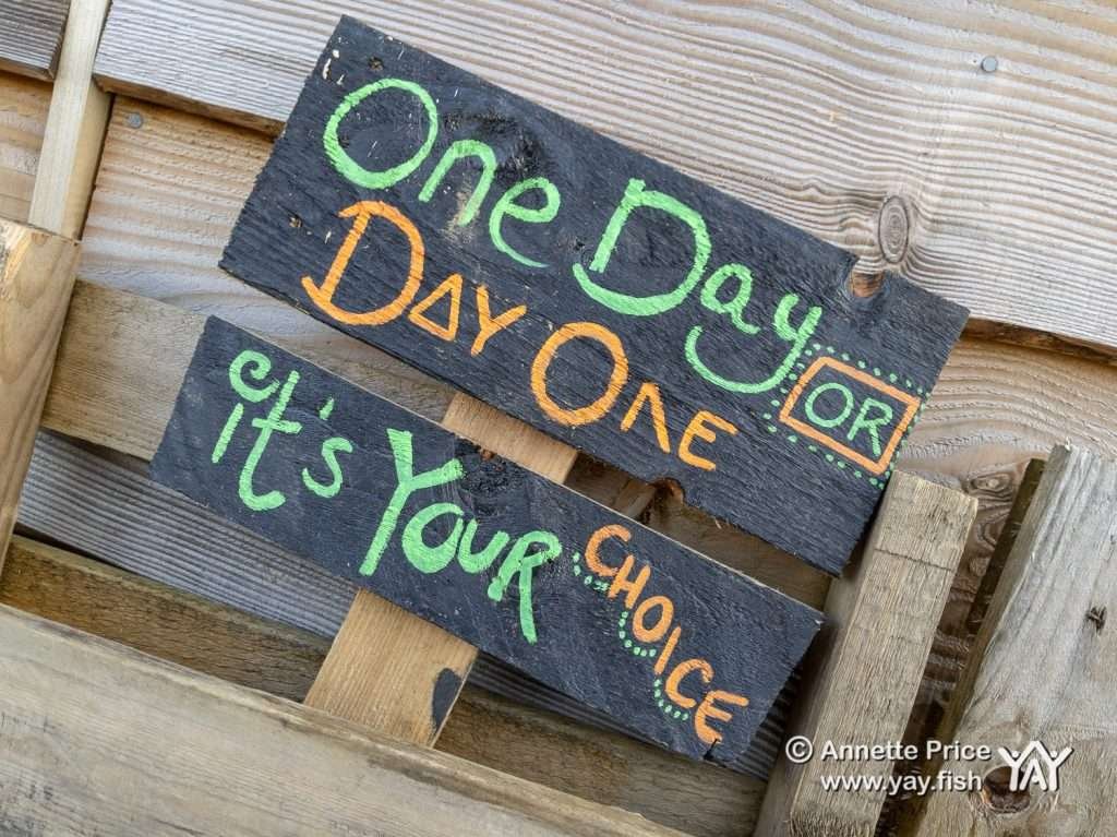 Wild Camping at the Yes Bus 17 3 19 72