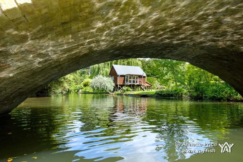 Hennerton Backwater near Wargrave, UK.