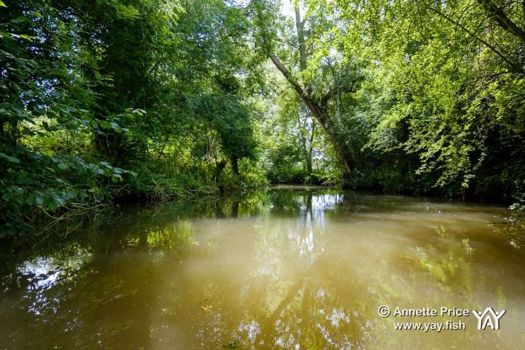 Hennerton Backwater near Wargrave, UK.