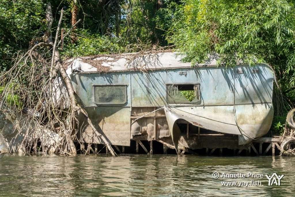 River Loddon, near Shiplake, UK.