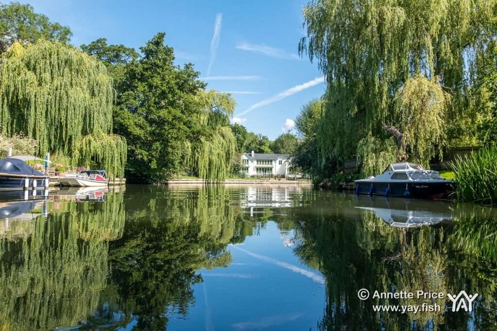 River Loddon, near Shiplake, UK.