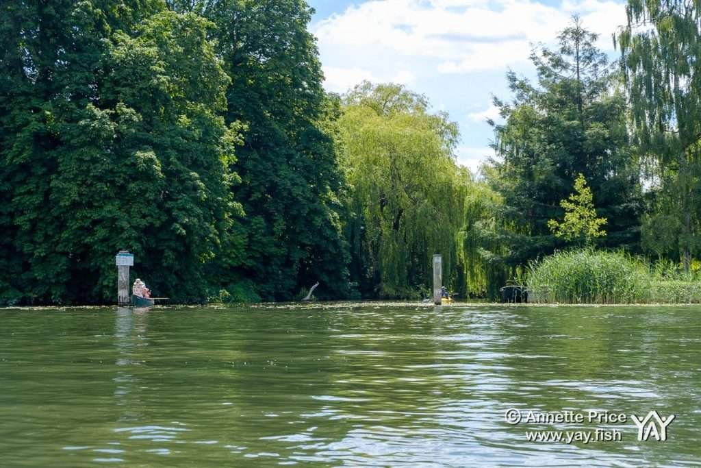 River Thames near Shiplake, UK.