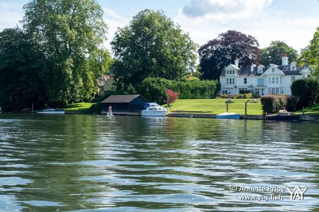 River Thames near Wargrave UK 12 7 20 3