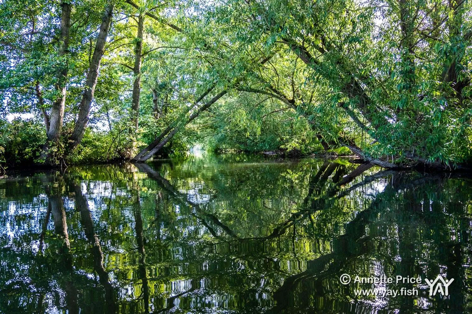 Read more about the article Paddling the Thames in Berkshire | Enjoy this enchanting and beautiful backwater paddle.