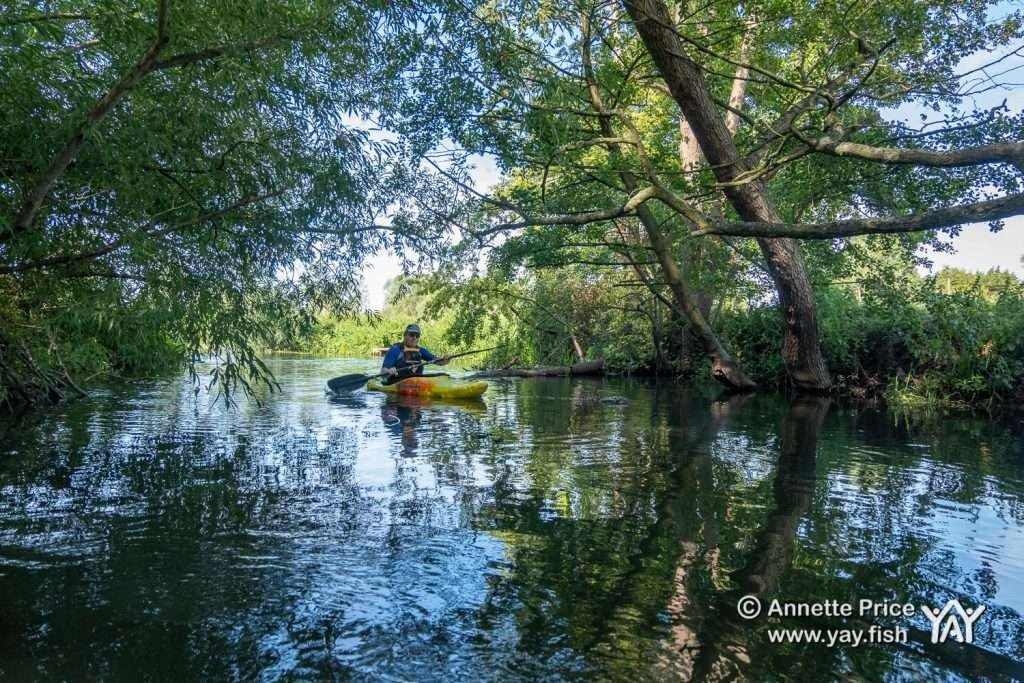 St Patrick's Stream, near Shiplake, UK.