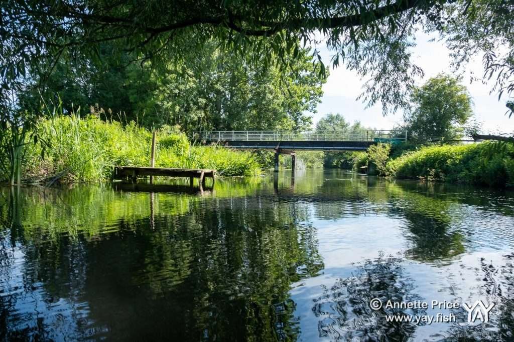 St Patrick's Stream, near Shiplake, UK.