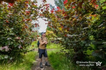 Dipley Mill, Hartley Wintney, Hook, Hampshire. UK.